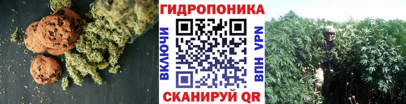 маркетплейс как зайти  Катав-Ивановск  Cannafood конопля 