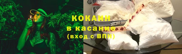 кокс Алексин